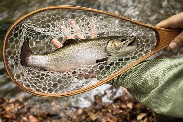 Some Fishing Techniques To Ensure Your Survival