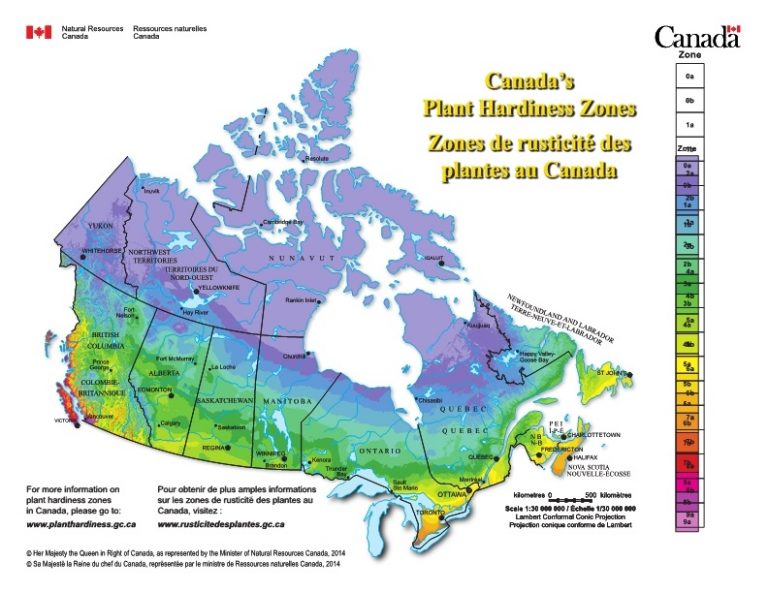 Garden Planning for Beginners