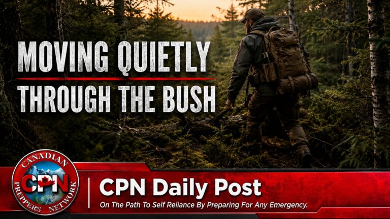Moving Quietly Through the Bush